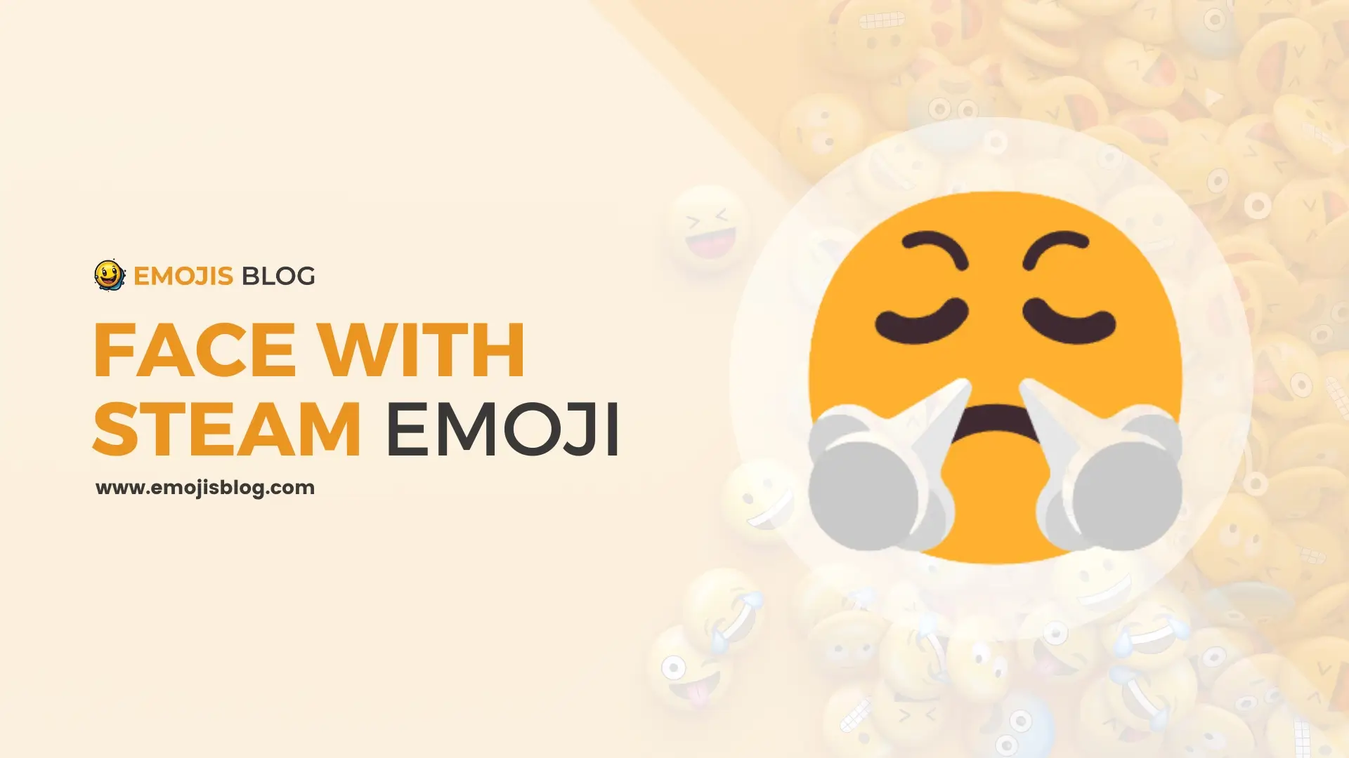 Face With Steam Emoji 😤