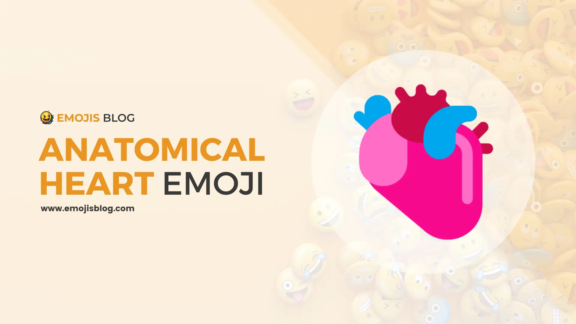 Anatomical Heart Emoji 🫀