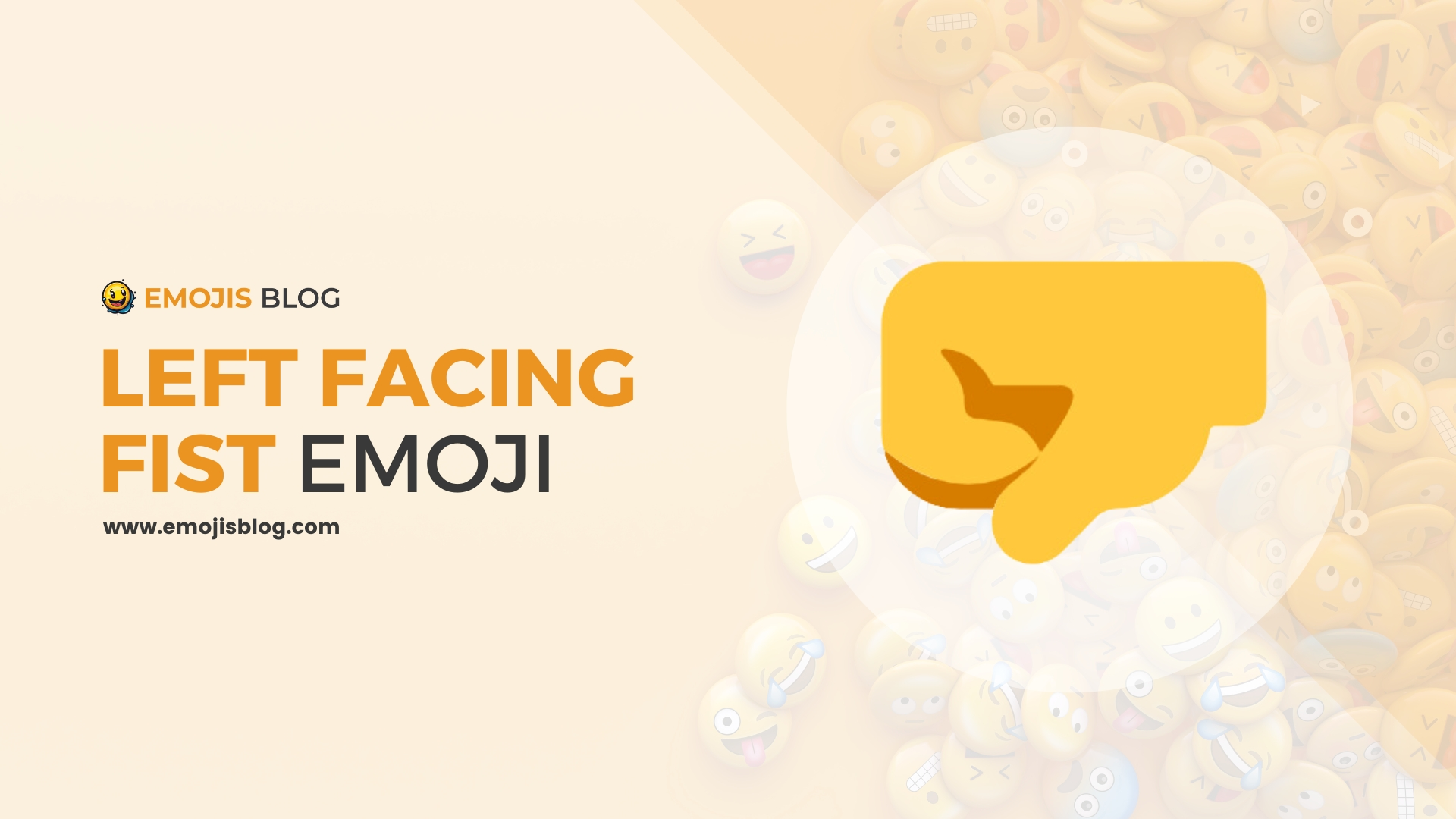 Left Facing Fist Emoji 🤛