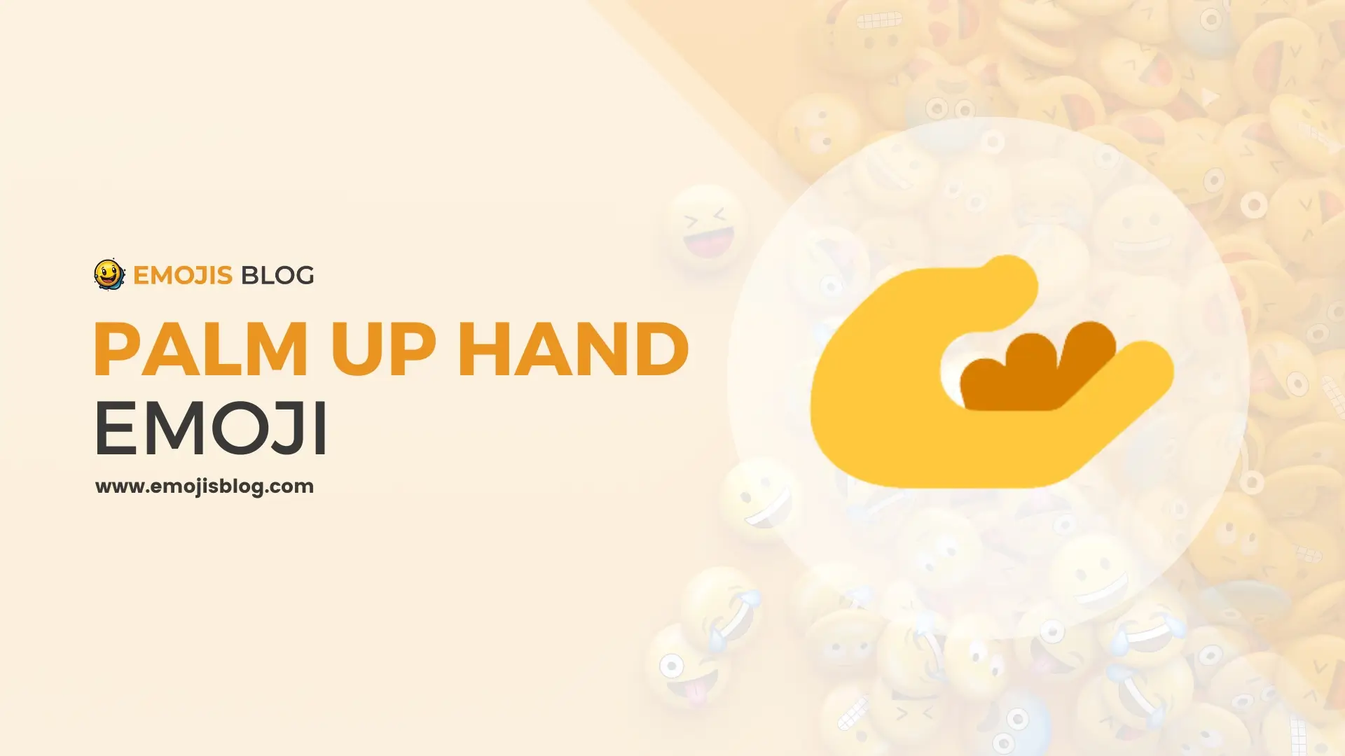 Palm Up Hand Emoji 🫴