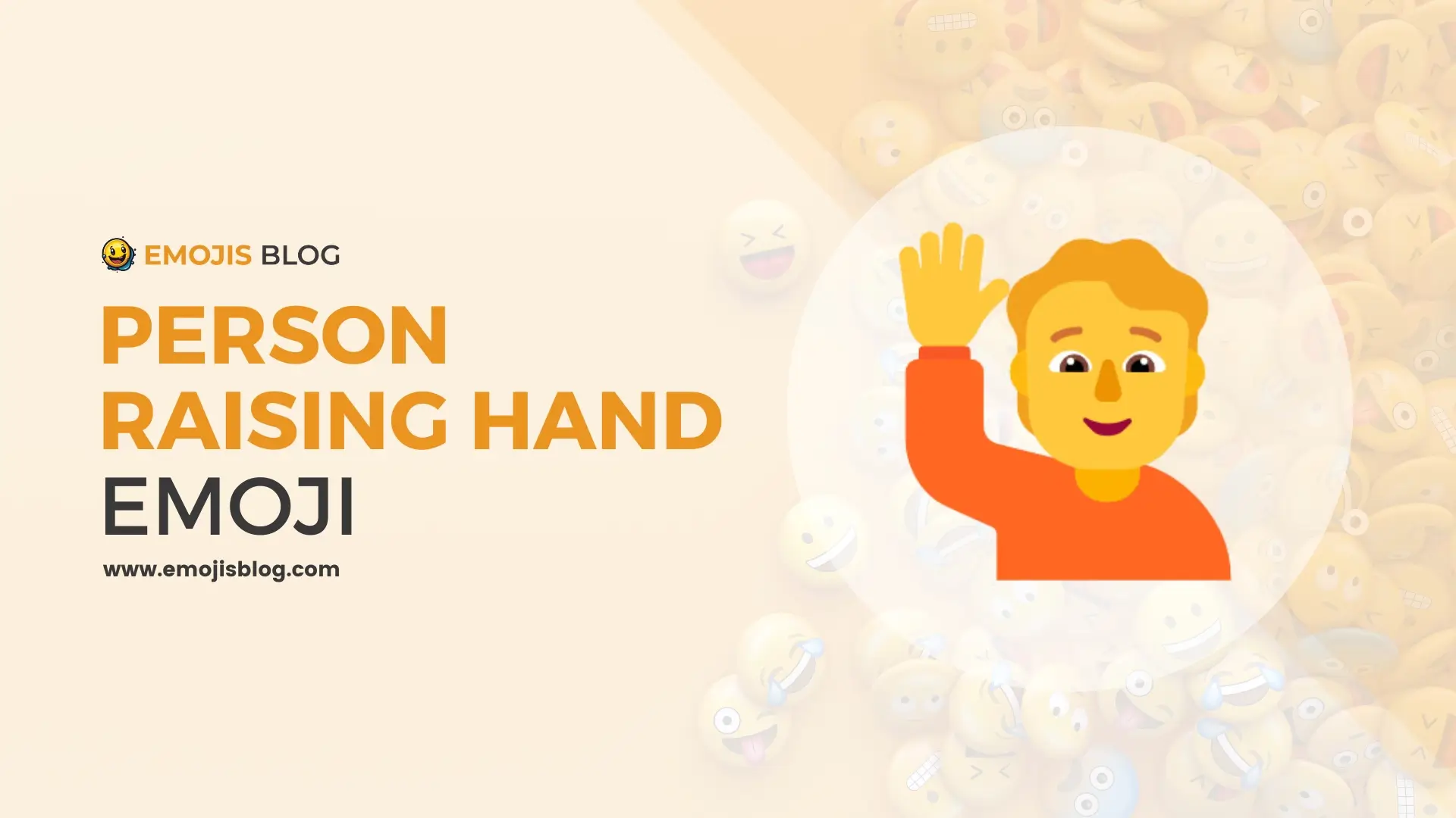 Person Raising Hand Emoji 🙋